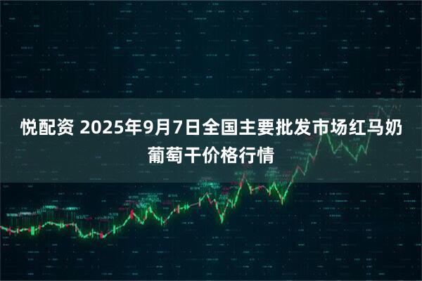 悦配资 2025年9月7日全国主要批发市场红马奶葡萄干价格行情
