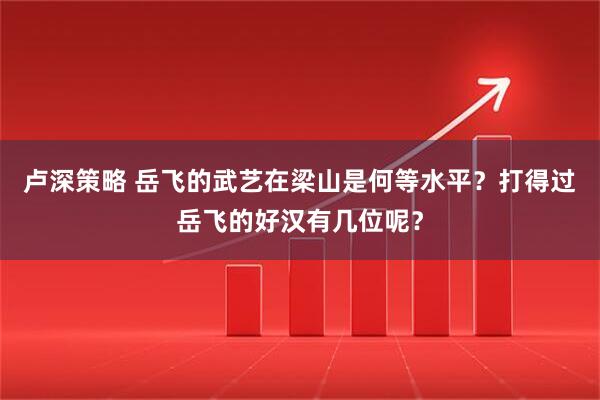 卢深策略 岳飞的武艺在梁山是何等水平？打得过岳飞的好汉有几位呢？