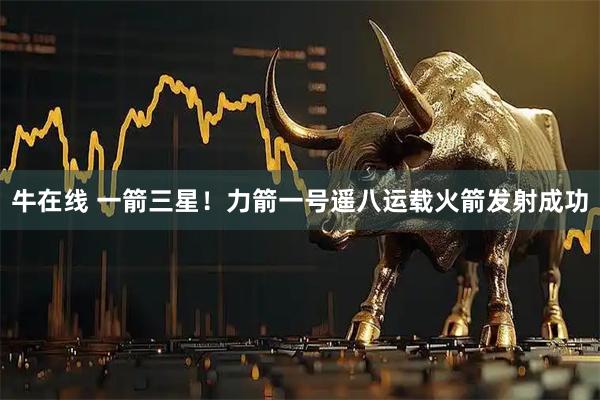 牛在线 一箭三星！力箭一号遥八运载火箭发射成功