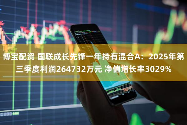 博宝配资 国联成长先锋一年持有混合A：2025年第三季度利润264732万元 净值增长率3029%