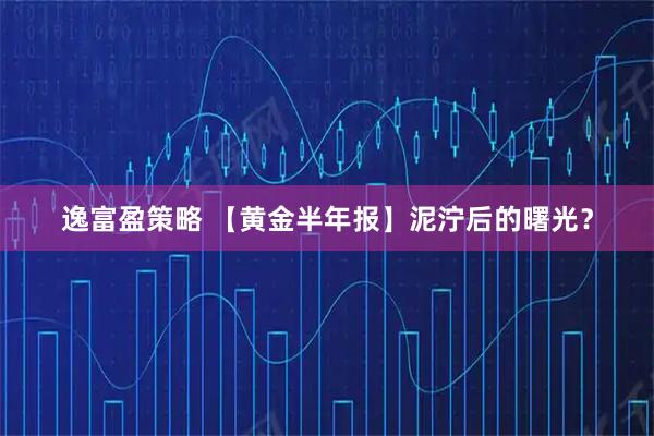 逸富盈策略 【黄金半年报】泥泞后的曙光?